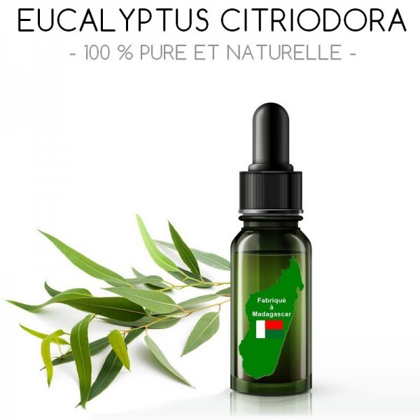 Huile Essentielle Eucalyptus Citriodora Bio : Calmante, Apaisante